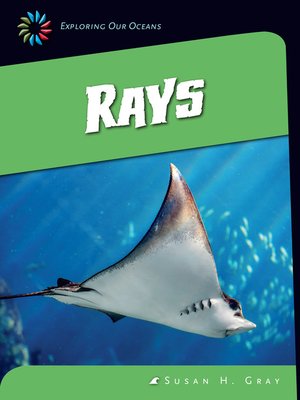 cover image of Rays